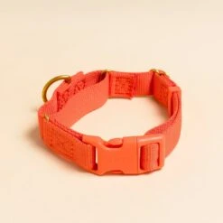 Marty Dog Collar