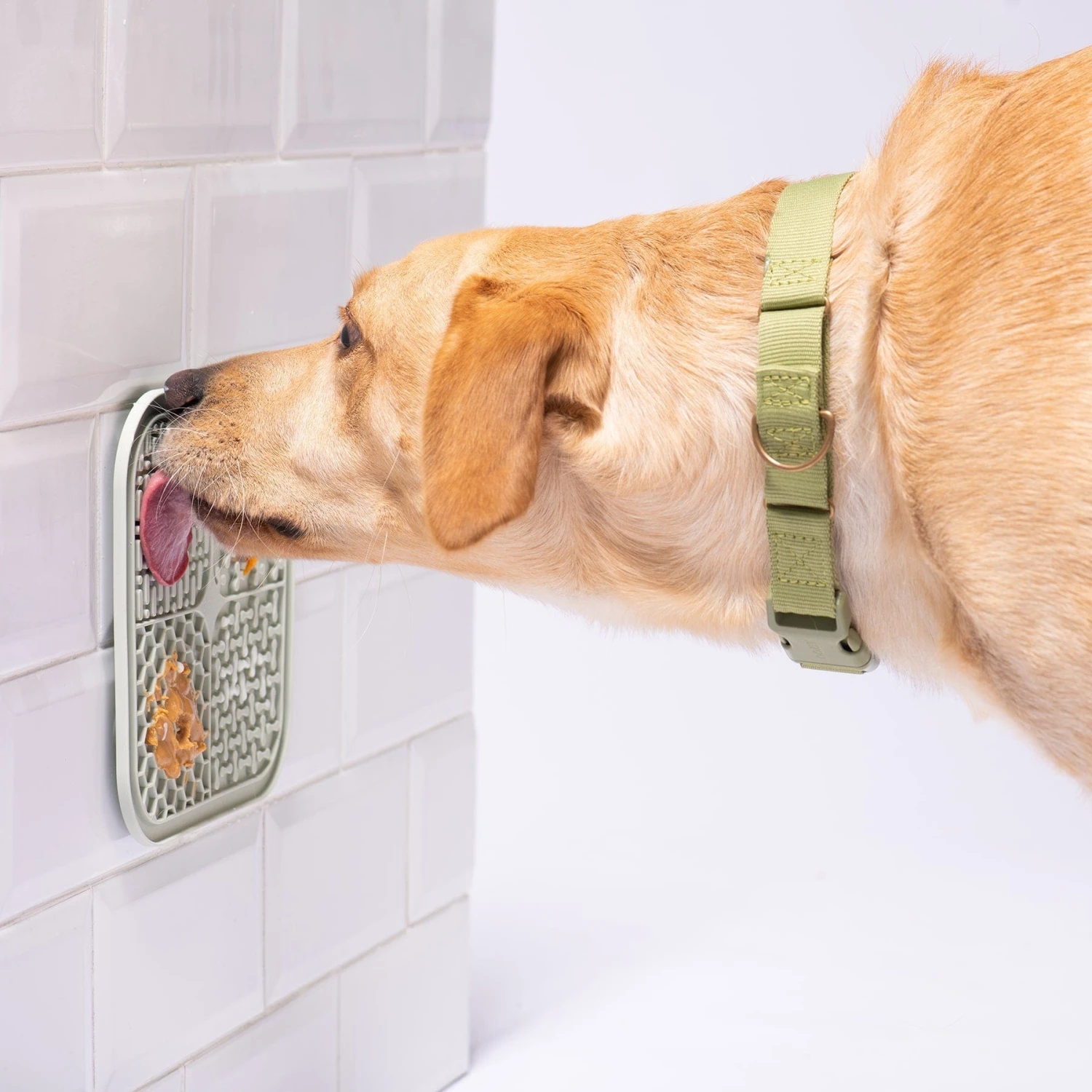 Smoosh Lick Mat For Dogs - Image 4