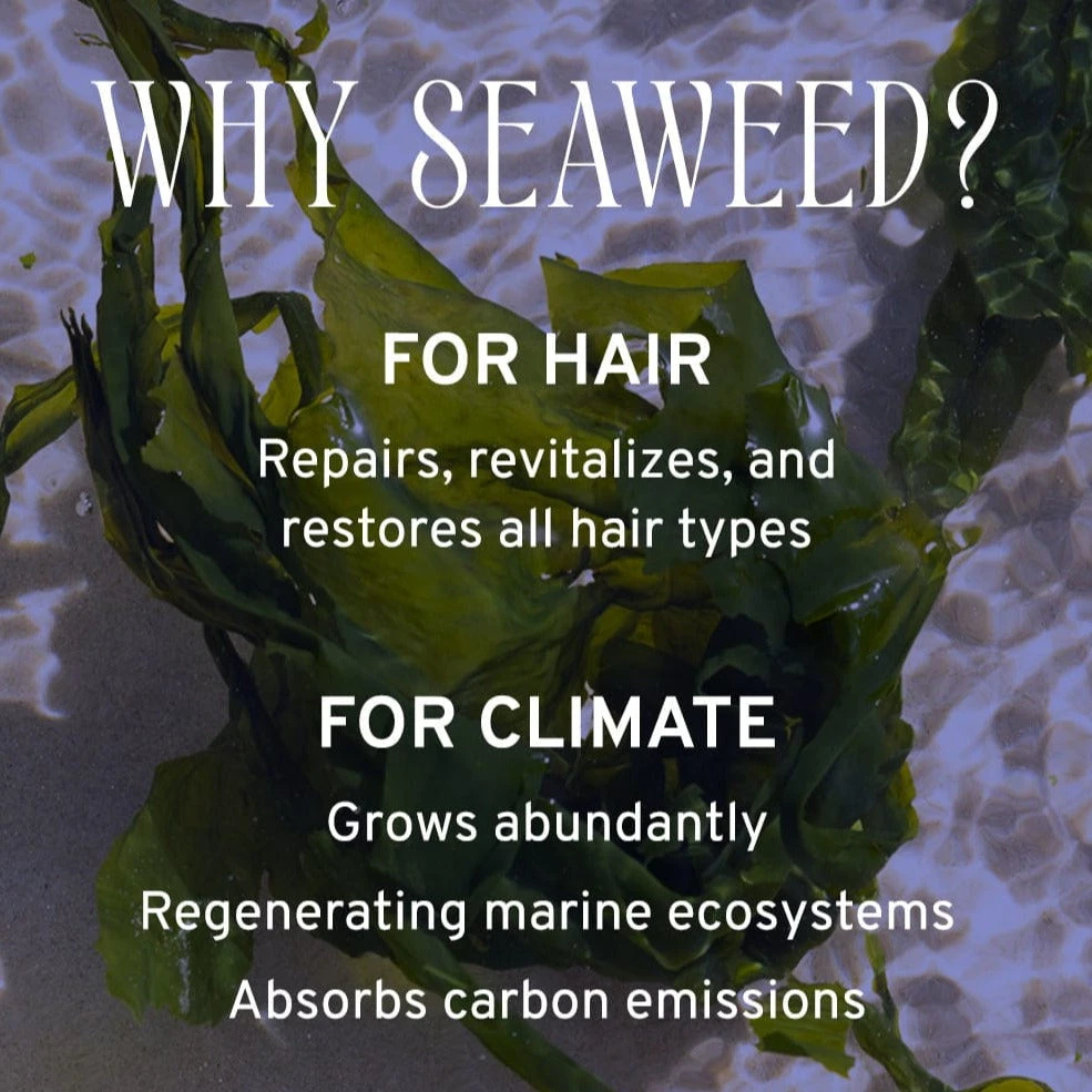 Hydrate Conditioner 10oz - Image 5