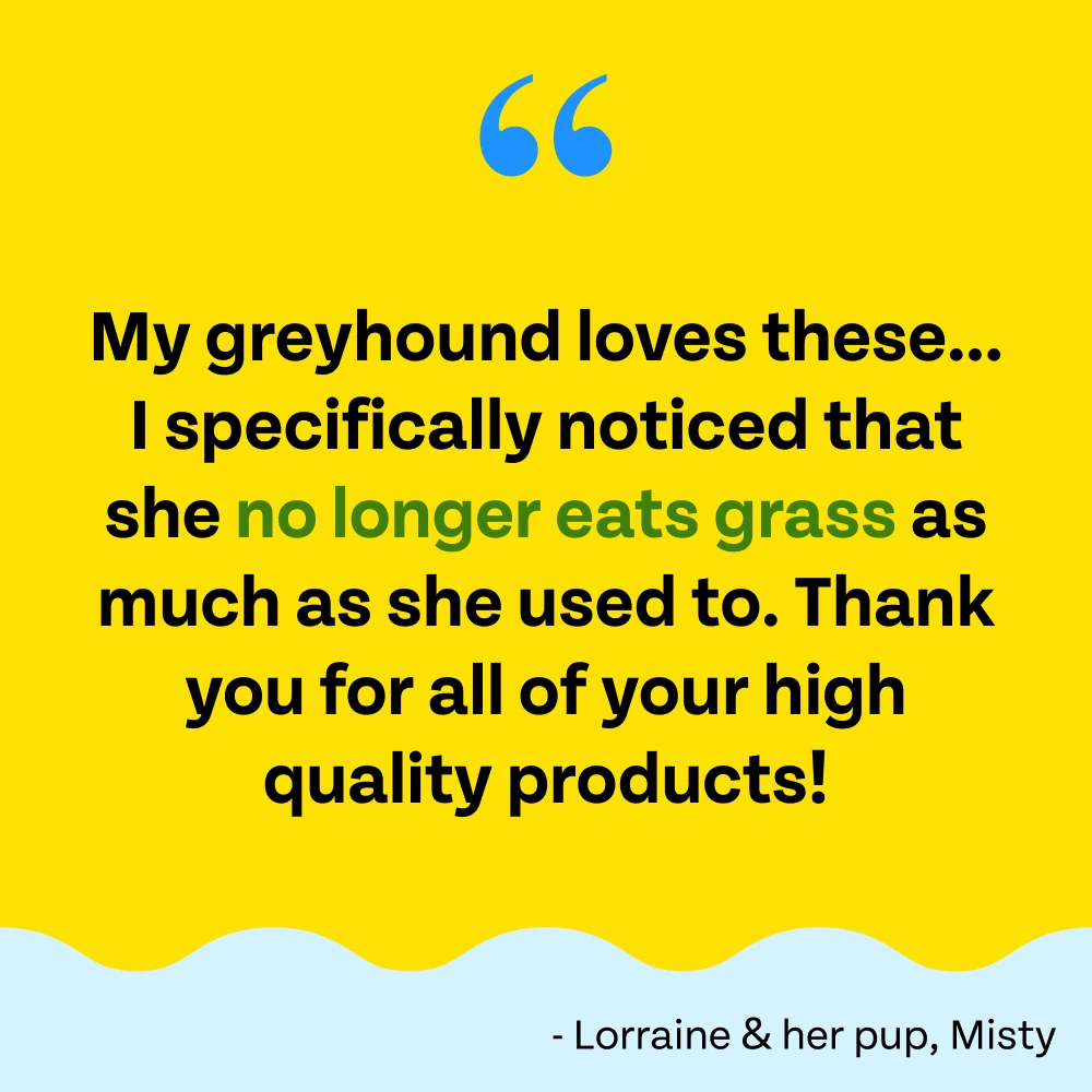 Veggie Dailies: Kale, Carrot, Spirulina- 2 Pack - Image 4