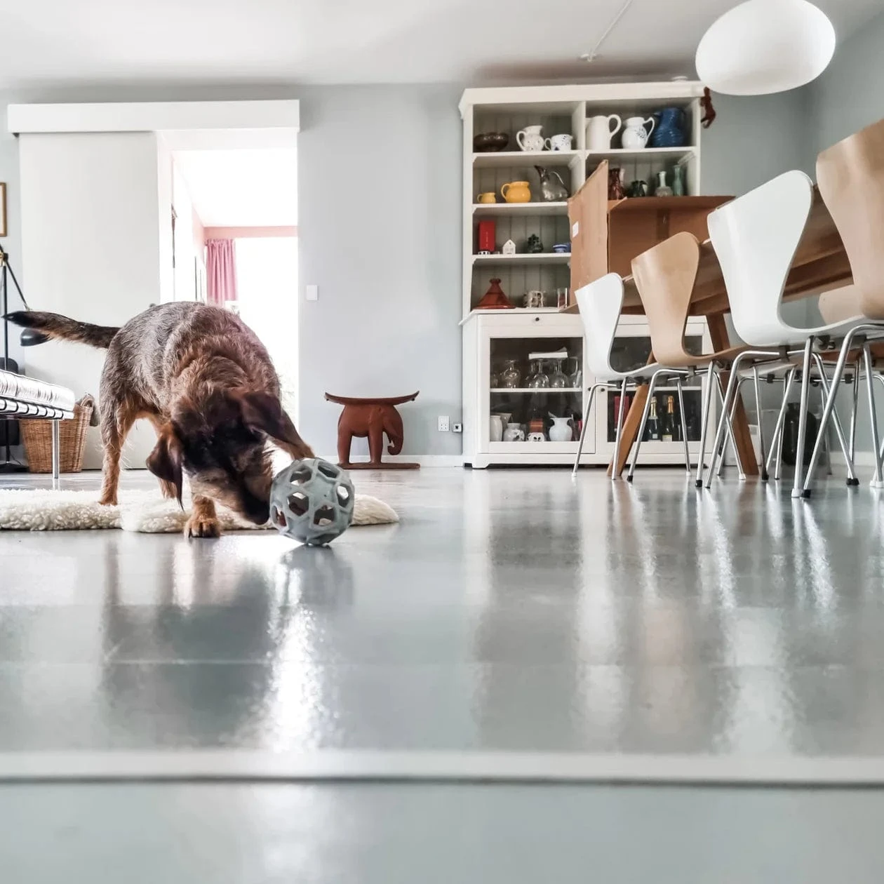 Hevea Enrichment & Fetch Dog Toy - Image 3