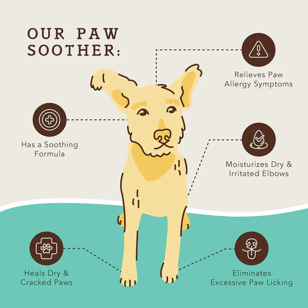 Paw Soother Dog Healing Balm - Image 4