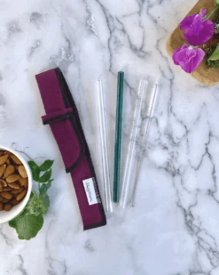 Simply Straws Glass Straw Sleeve Set